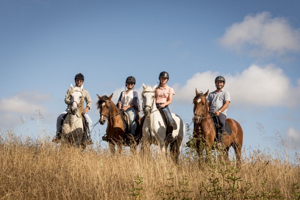 Melides: Horse Riding on the Beach With Wine Tasting - Key Points