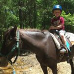 memphis horseback trail ride tour Memphis Horseback Trail Ride Tour