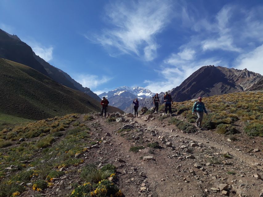 Mendoza: High Mountain and Aconcagua Park Tour With BBQ - Key Points
