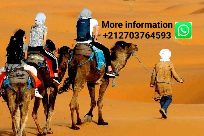 Merzouga Camel Riding & Overnight Stay in Luxury Camp - Key Points