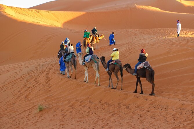 Merzouga Desert Campsite &Camel Excursions - Pickup and Drop-off Locations