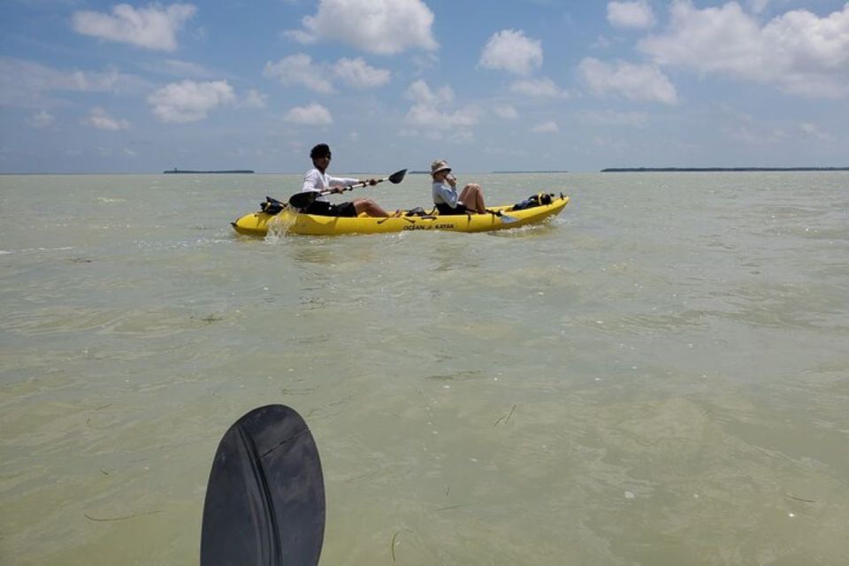 Miami: Everglades National Park Hiking and Kayaking Day Trip - Key Points