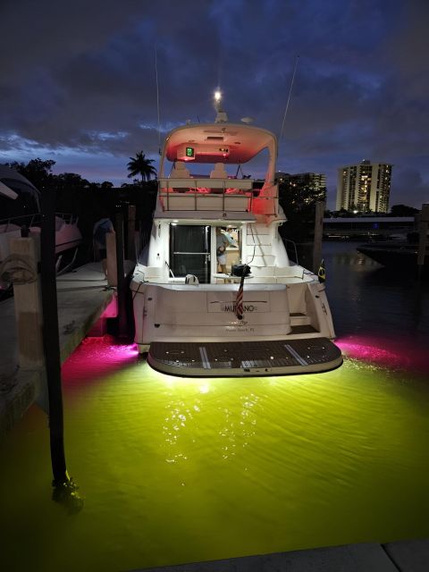 Miami: Nightlife & Party in Biscayne Bay With Champagne - Key Points