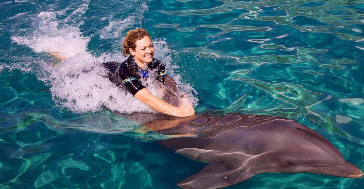 Miami: Swim With Dolphins Experience With Seaquarium Entry - Key Points