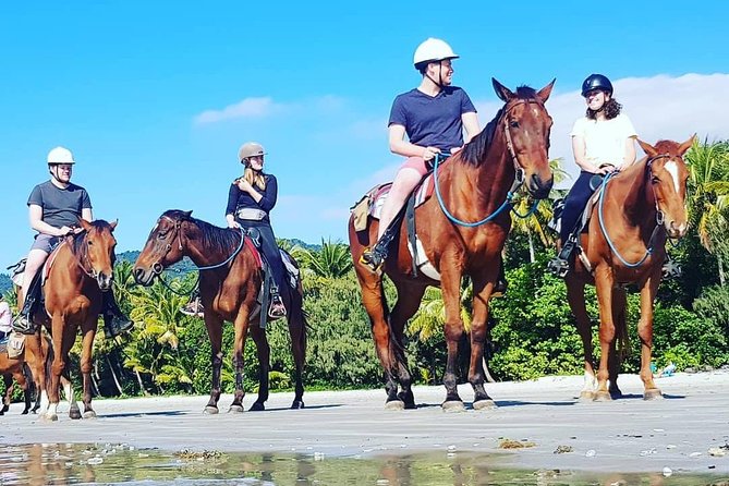 Mid-Morning Beach Horse Ride in Cape Tribulation - Just The Basics