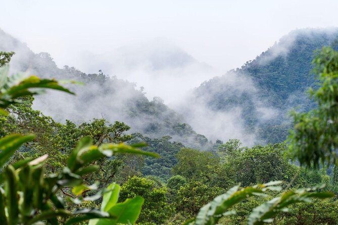 Mindo Cloud Forest - Key Points