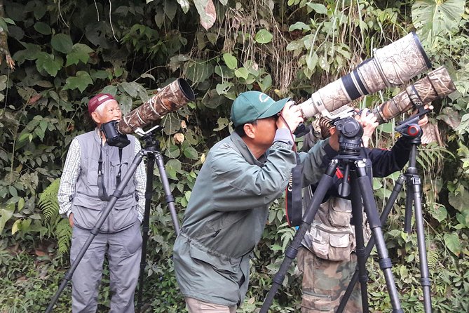 Mindo Half Day Birding Experience - Key Points