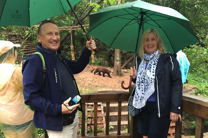 Mini Group: Half-Day Chengdu Pandas and Optional Hotpot Tour - Tour Highlights