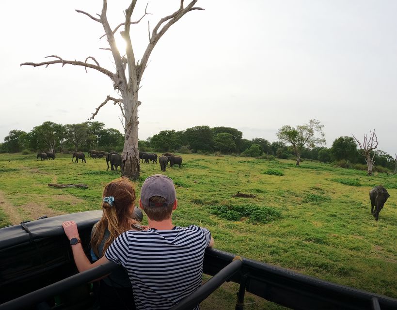 Minneriya National Park Half Day Sri Lanka Jeep Safari - Key Points