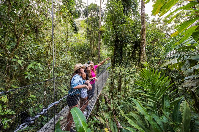 Mistico Park Hanging Bridges Guided Tour - Key Points