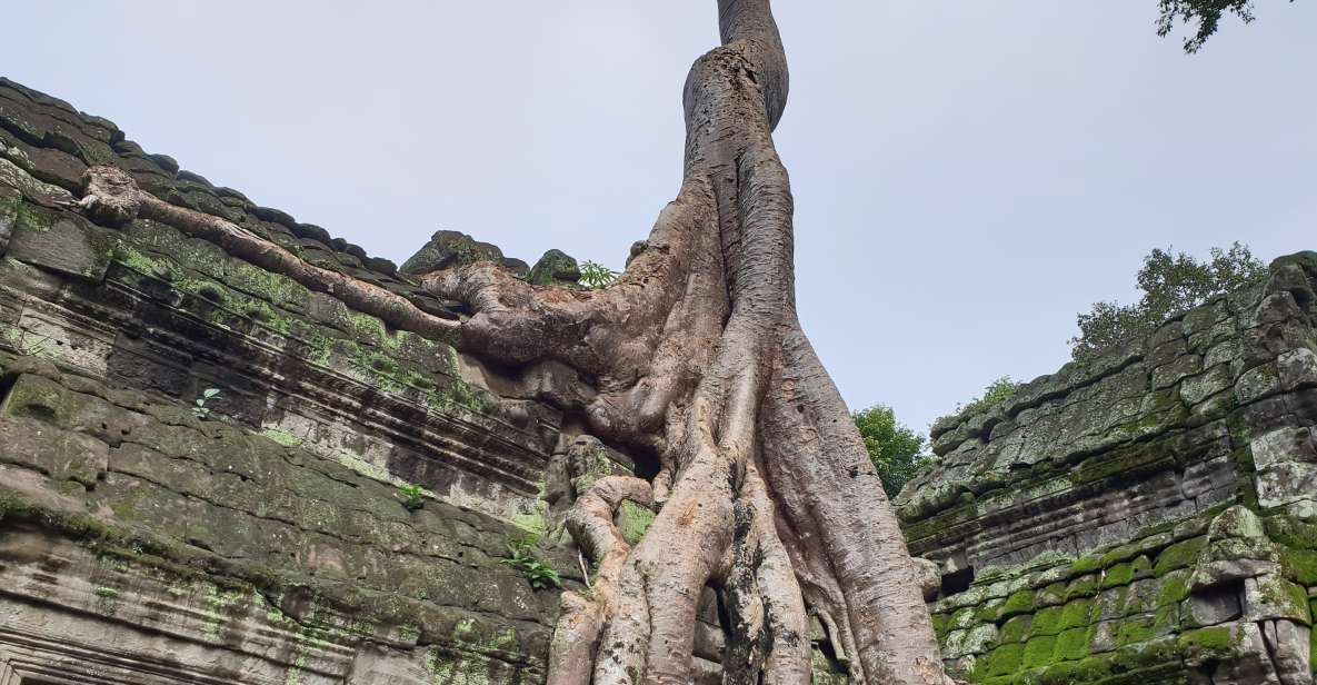 Mixture of Temples and Waterfall. - Key Points