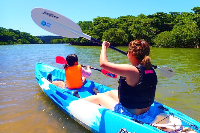 Miyara River 90-Minute Small-Group SUP or Canoe Tour (Mar ) - Key Takeaways