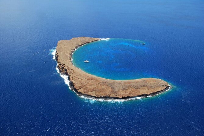 Molokini and Turtle Arches Snorkeling Trip From Maalaea Harbor - Just The Basics