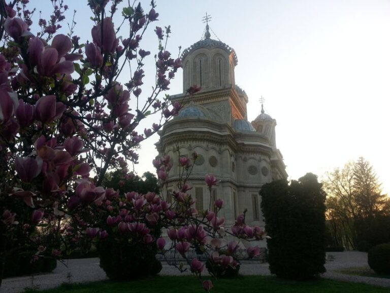 Monasteries of Curtea De Arges: Day Trip From Bucharest