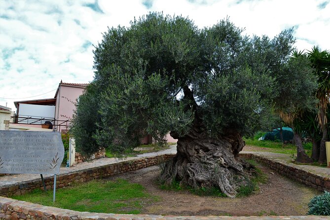 Monastery - Ancient Olive Tree & Museum-Cretan Brewery Private Tour From Chania - Just The Basics