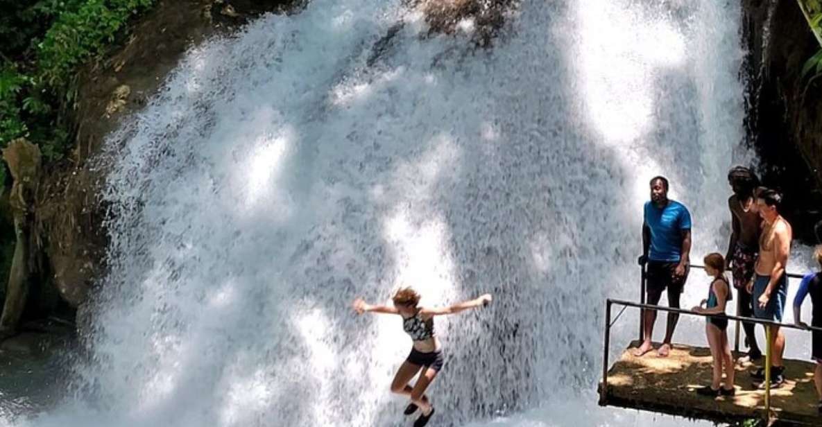 Montego Bay: Chuck Norris Falls & Dunn's River Falls Tour - Just The Basics