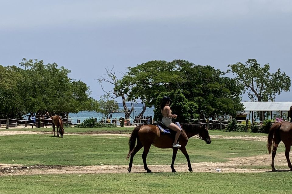 Montego Bay: Day Trip With Zipline, ATV, and Horseback Ride - Just The Basics