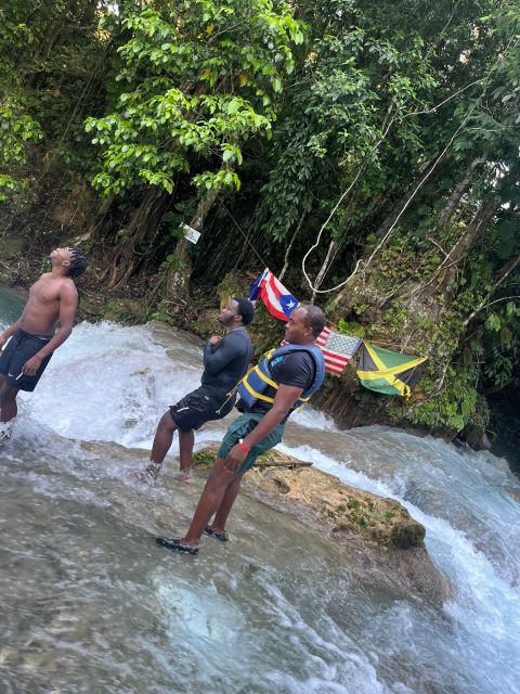 Montego Bay: Dunns River Falls Private Tour - Just The Basics