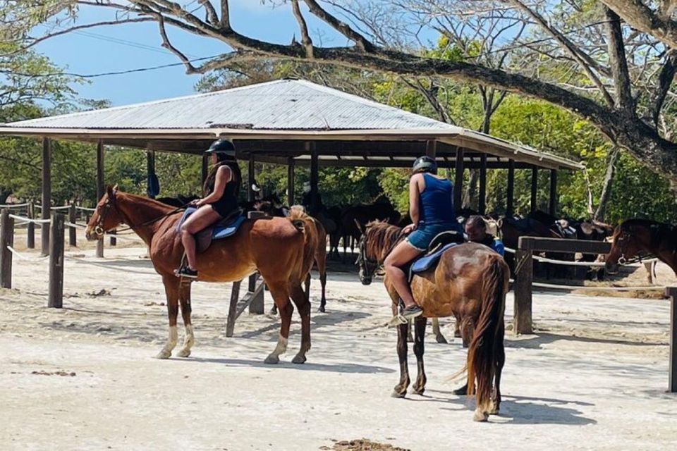 Montego Bay: Horseback Riding & Bamboo Rafting Tour - Just The Basics