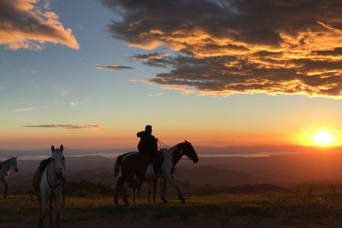 Monteverde Cloud Forest Horseback Riding - Key Points