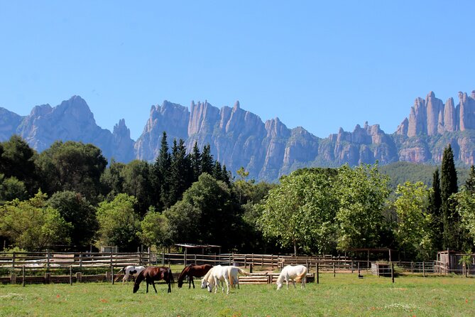 Montserrat Monastery & Horseback Riding - Tour Highlights