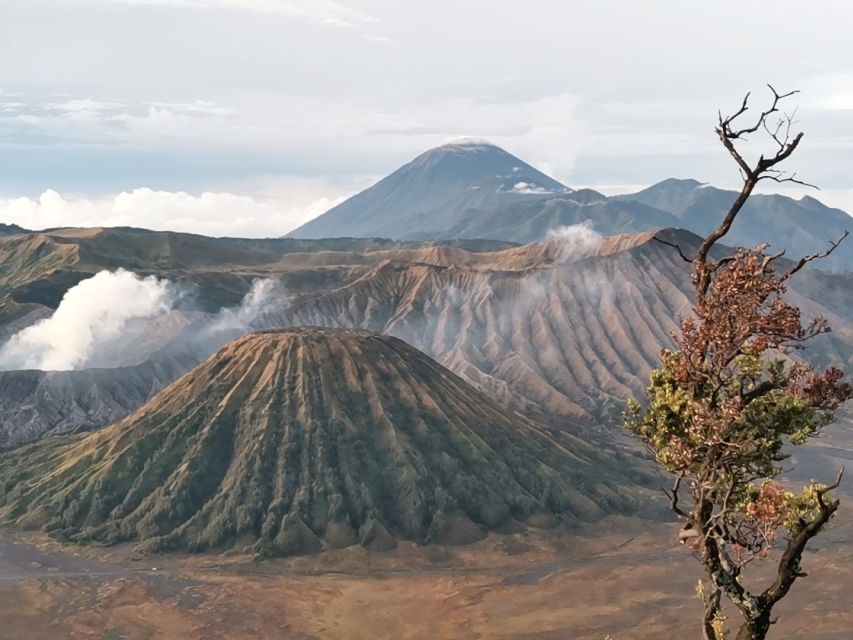 Mount Bromo Sunrise 1 Day Private Tour From Surabaya/Malang - Key Points
