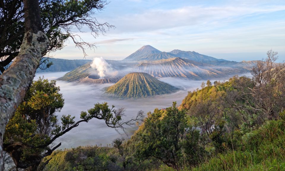 Mount Bromo: Sunrise Guided Tour With Optional Transfer - Key Points