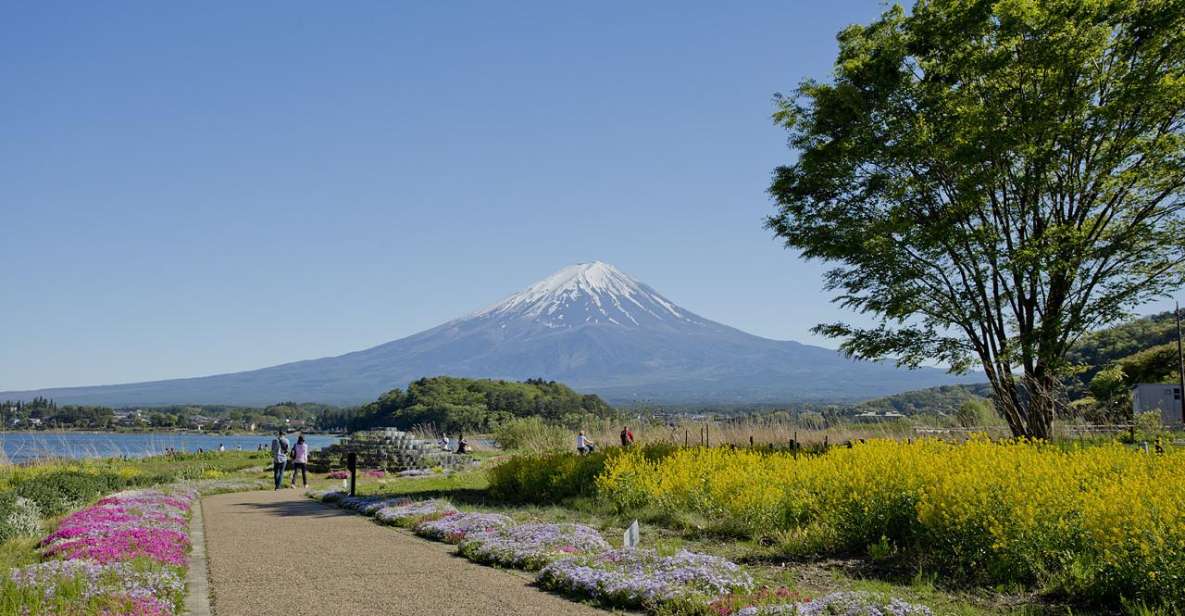 Mount Fuji Full Day Private Tour (English Speaking Driver) - Just The Basics