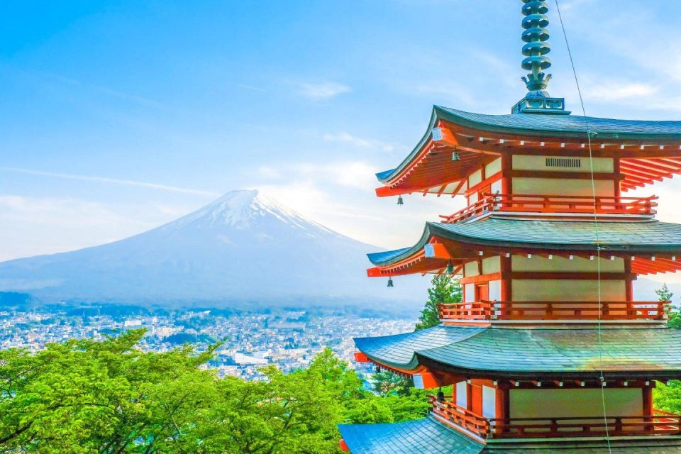 Mount Fuji Panoramic View & Shopping Day Tour - Just The Basics