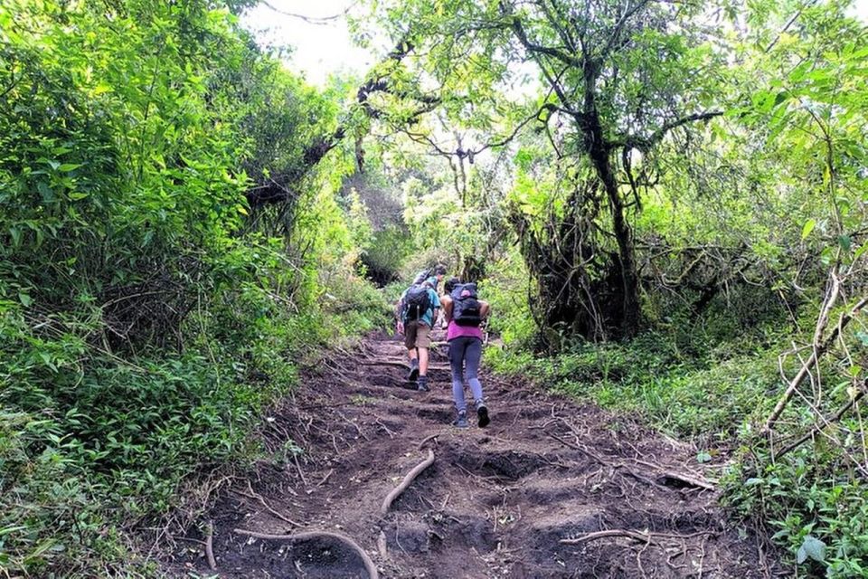 Mount Merbabu Hiking Tour 2D1N With Camping - Key Points