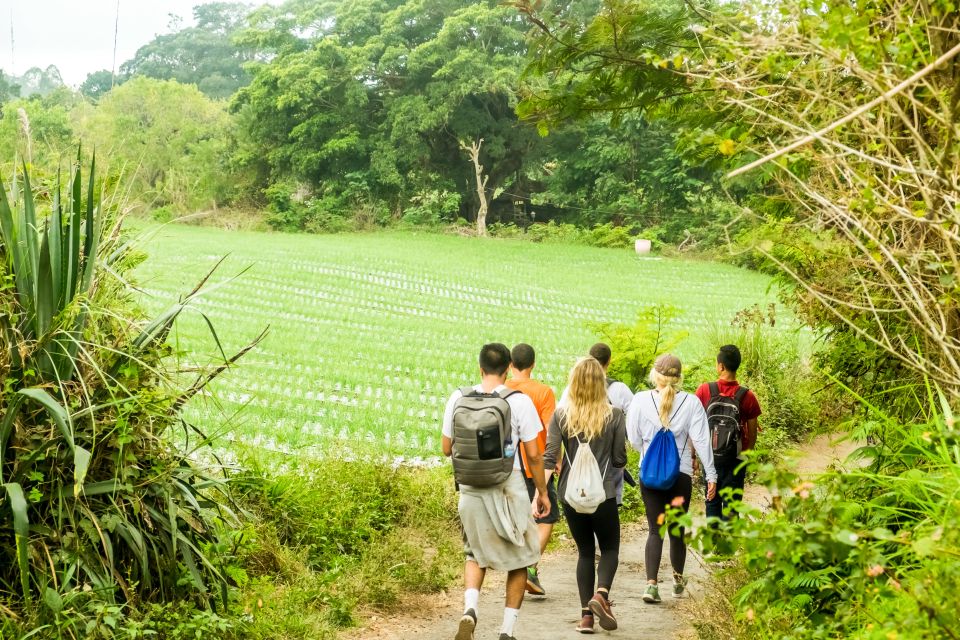 Mt. Batur Sunrise Hike With 1-Night Stay in Kintamani - Key Points