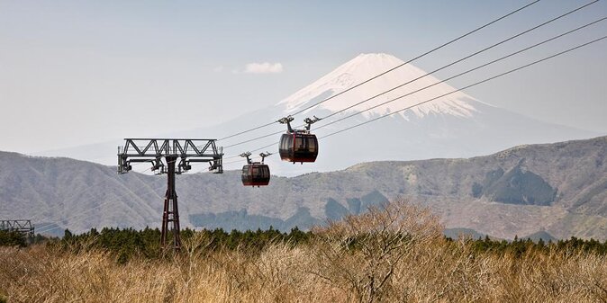 Mt Fuji and Hakone 1-Day Bus Tour Return by Bus - Just The Basics