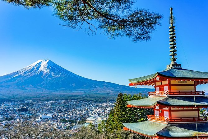 Mt. Fuji Area Tour Tokyo DEP: English Speaking Driver, No Guide - Key Points