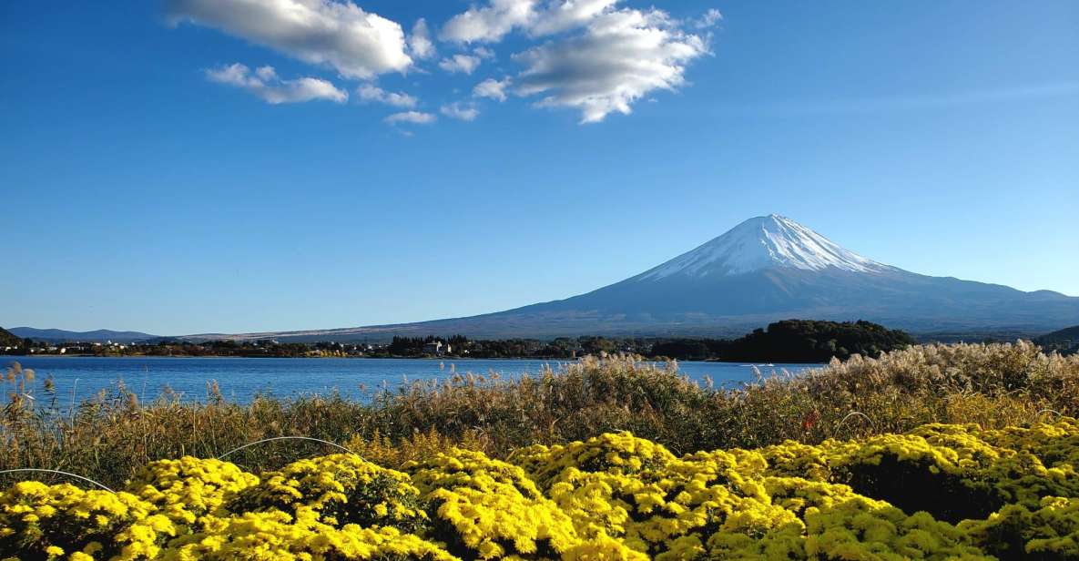 Mt Fuji: Full Day Private Tour With English Guide - Key Points