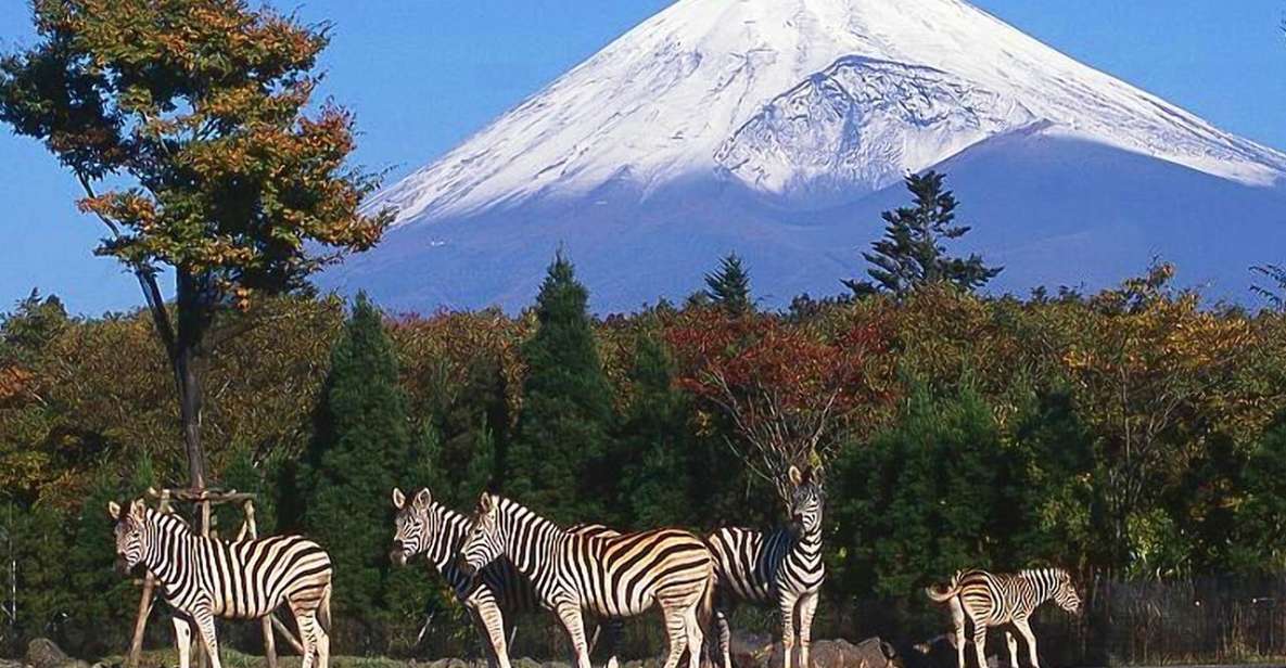 Mt Fuji : Highlight Tour and Unforgettable Experience - Just The Basics