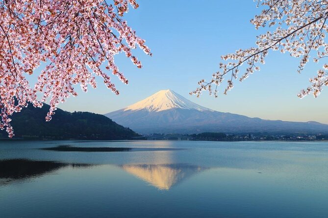 Mt. Fuji Private Sightseeing Tour With Local From Tokyo - Just The Basics