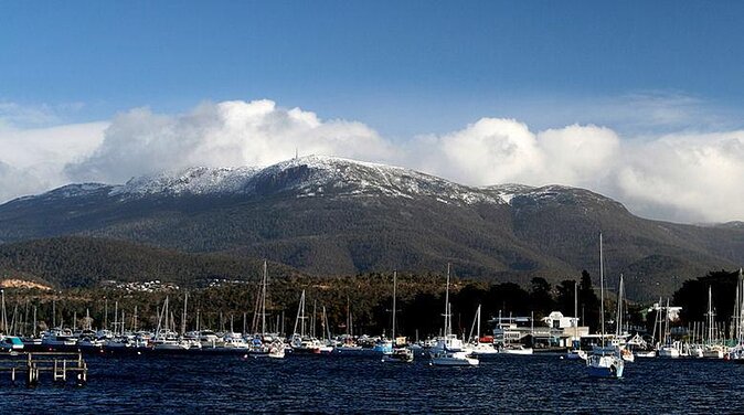 Mt Wellington Ultimate Experience Tour From Hobart - Key Points