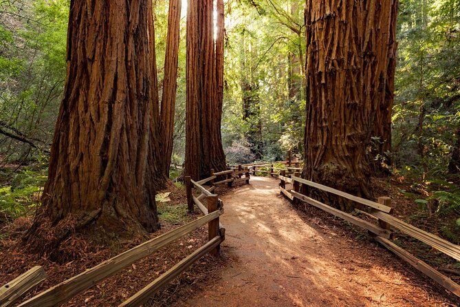 Muir Woods Tour of California Coastal Redwoods (Entrance Fee Included) - Just The Basics