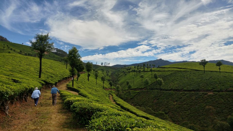 Munnar Private Day Trip - Key Points