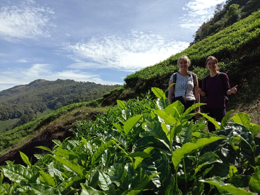 Munnar Tea Trek - Key Points