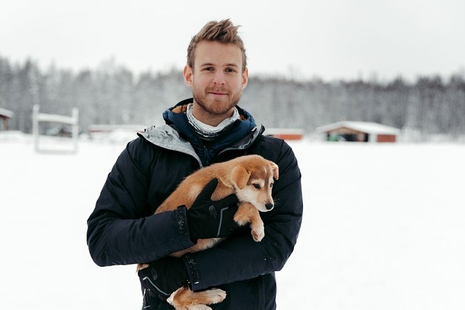 Mush Your Own Sled Dog Team (Winter Tour) in Talkeetna, Alaska - Key Points