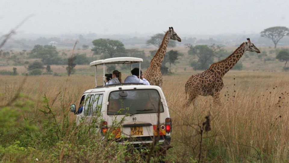 Nairobi National Park Morning or Evening Game Drive - Key Points