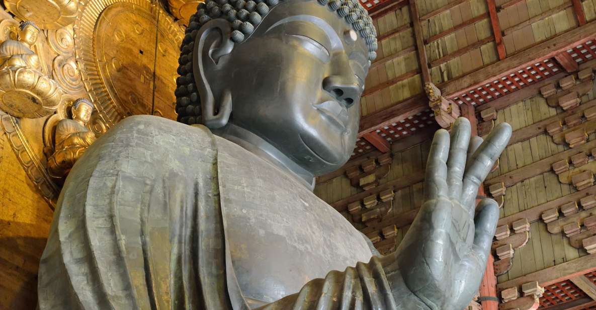 Nara: Audio Guide Delve Into Todai-Ji & Kasuga Taisha - Just The Basics