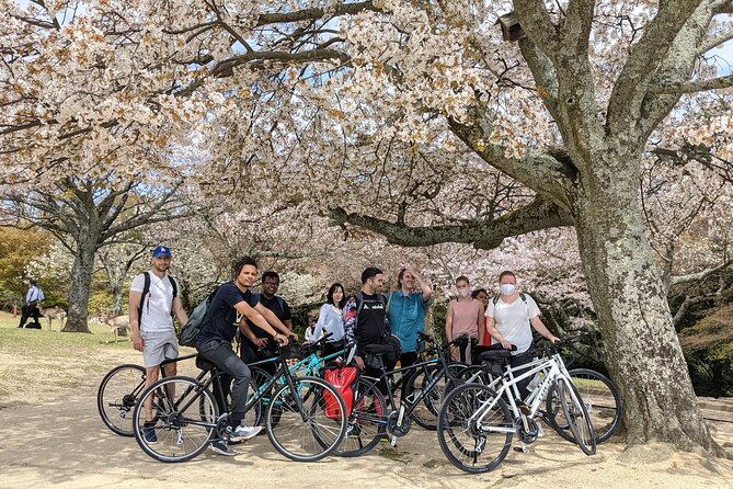 Nara - Heart of Nature Bike Tour - Just The Basics