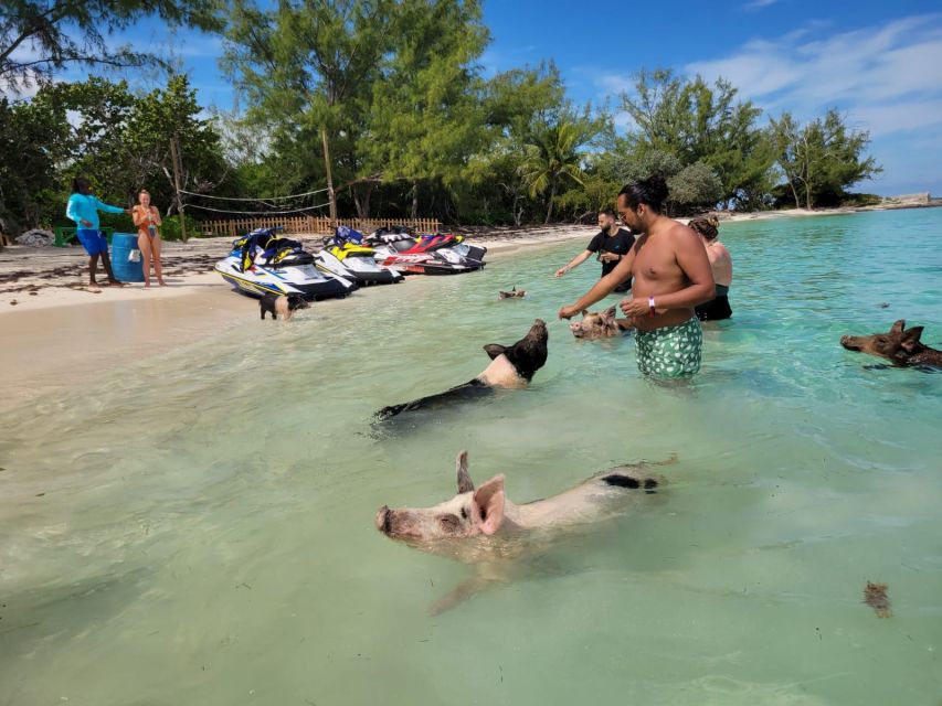 Nassau: Guided Jet Ski Tour and Swimming With Pigs - Just The Basics