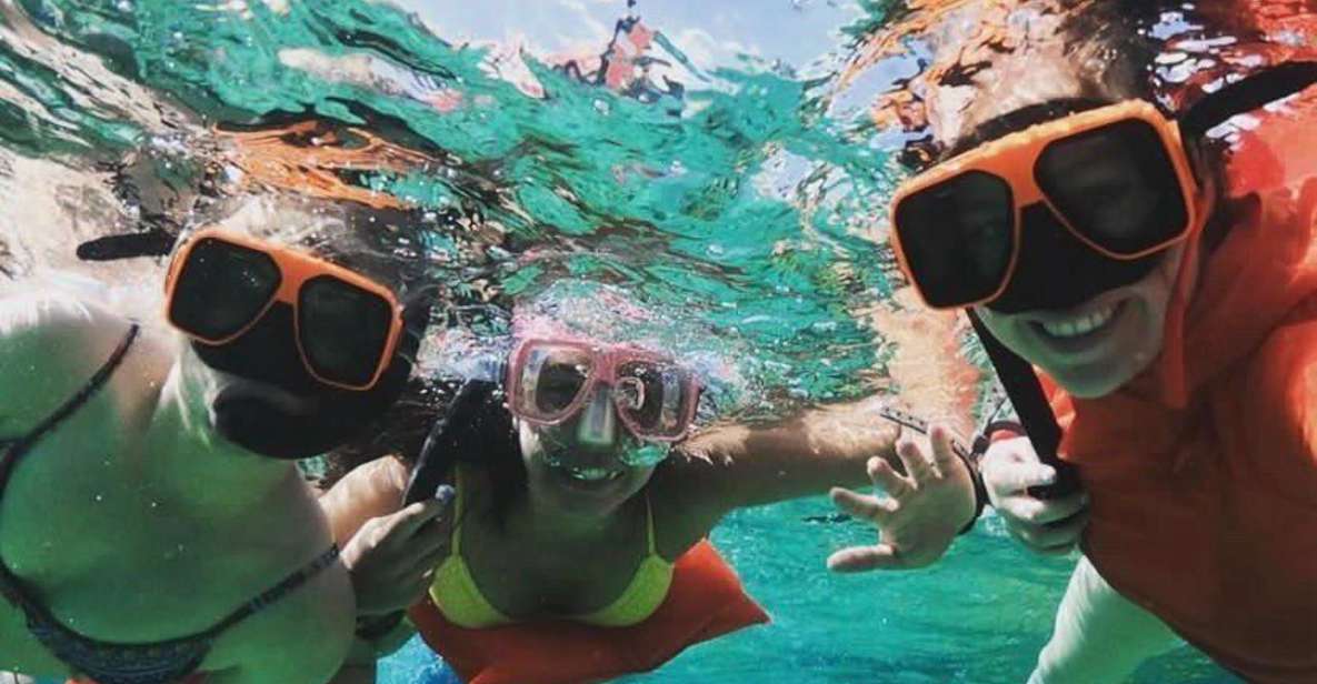Nassau: Reef Snorkeling, Turtles, Lunch & Private Beach Club - Key Points