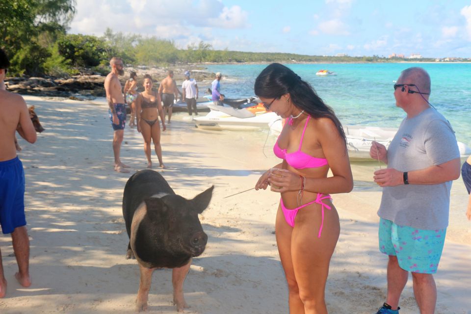 Nassau: Self-Drive Speedboat Ride and Pig Swimming Encounter - Key Points