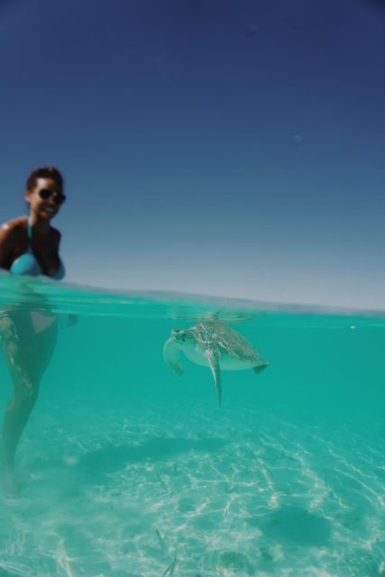 Nassau: Snorkel W/ Turtles, Feed Pigs, Lunch at Beach Club - Just The Basics