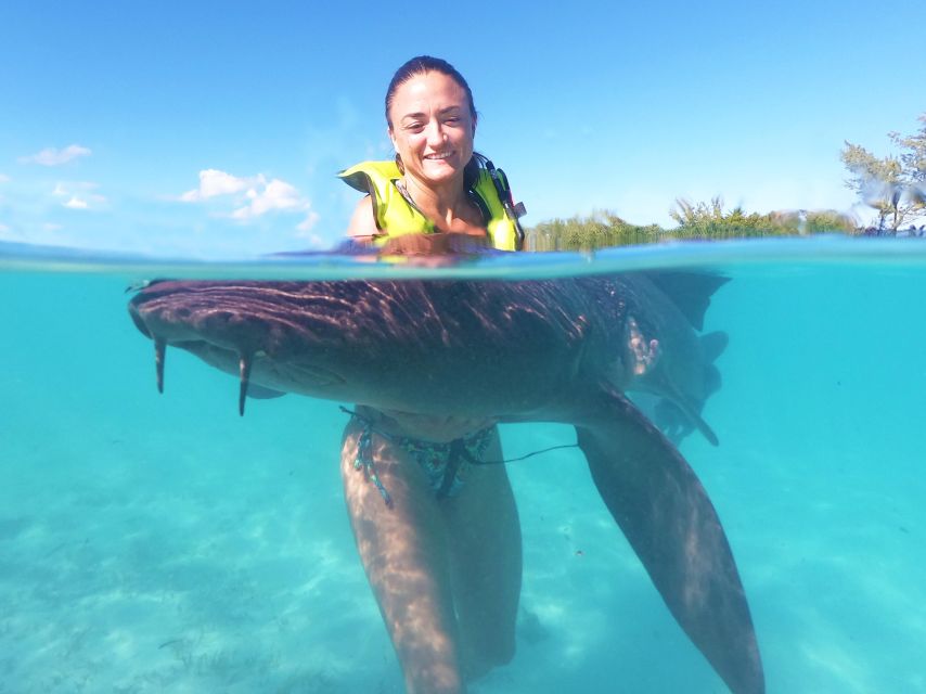 Nassau: Swim With Sharks, Swimming Pigs Tour - Just The Basics