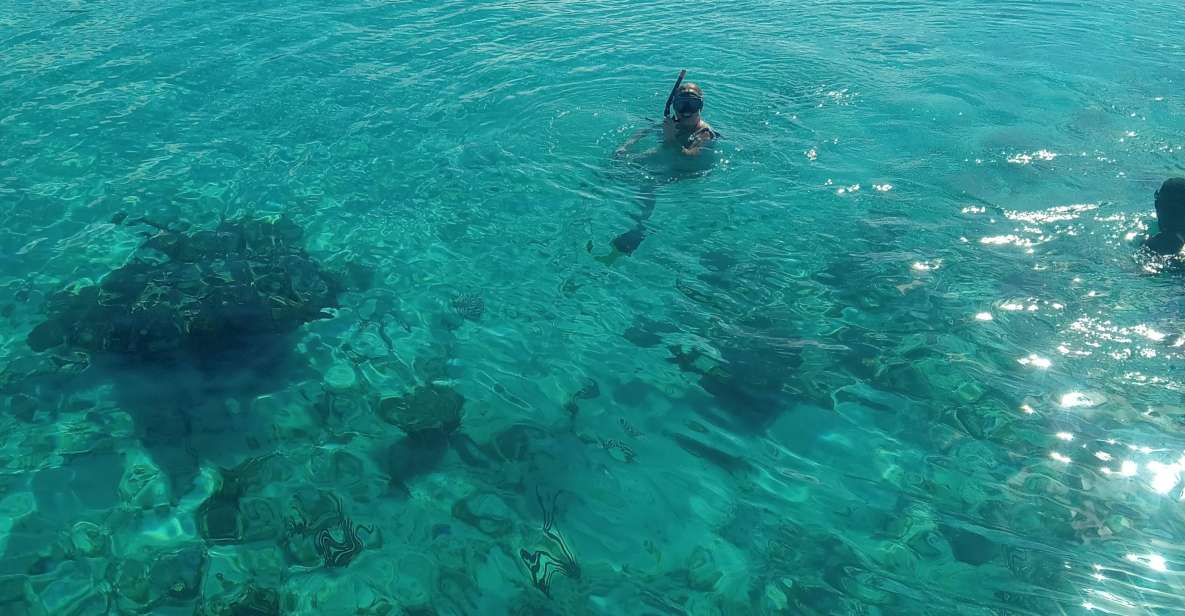 Nassau:Swimming Pigs, Turtles, Reef Snorkeling by Speedboat - Just The Basics